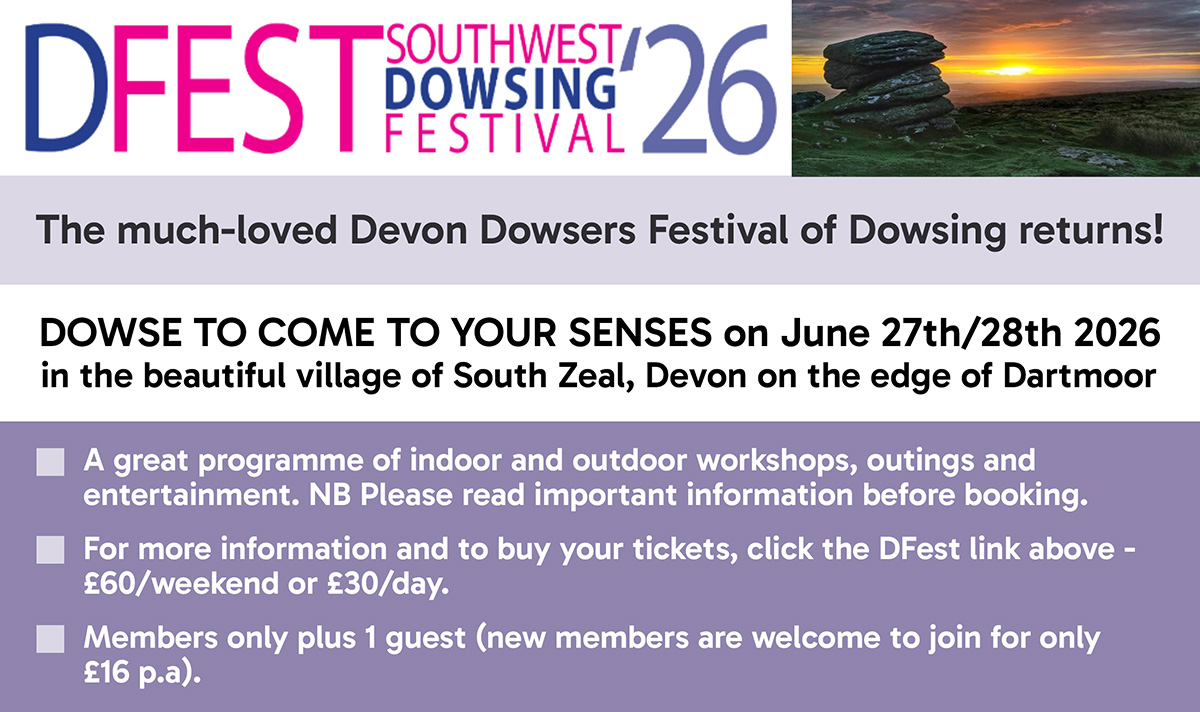 DFest information